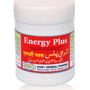 Energy Plus