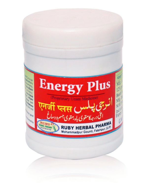 Energy Plus
